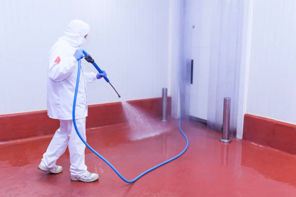 Auberry, CA Pressure Washing Services Company